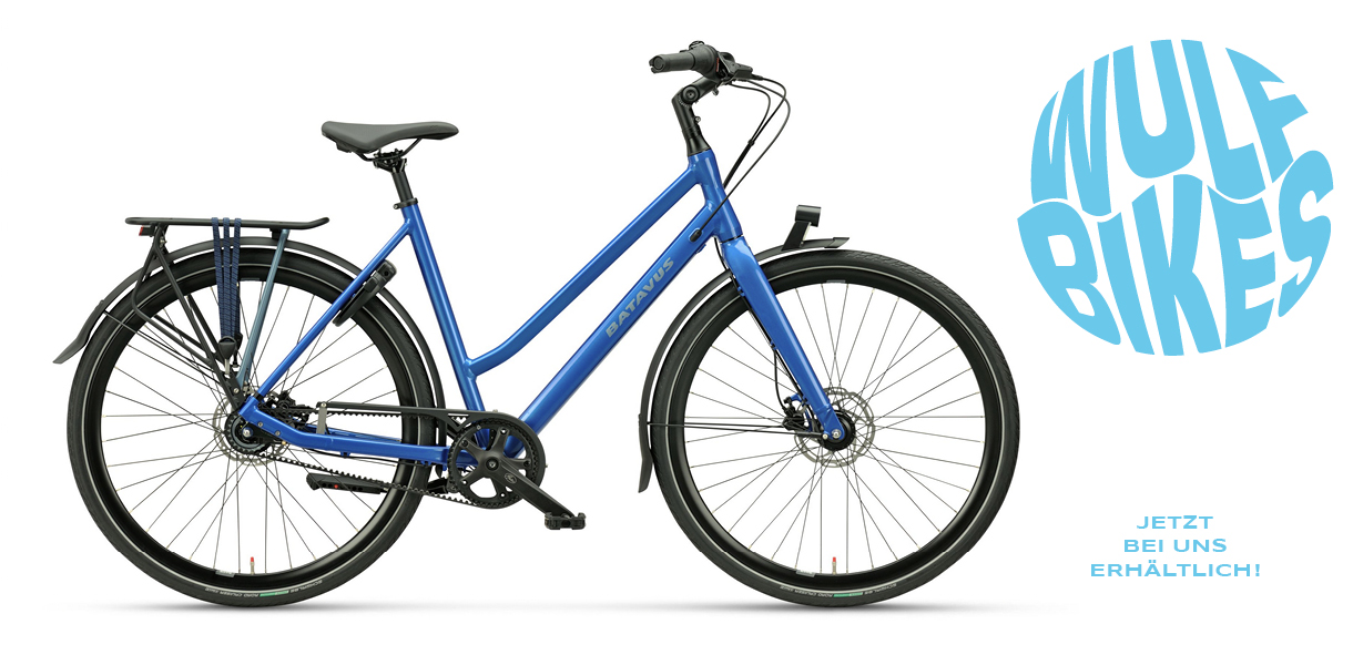 Batavus Dinsdag Exclusive deepsky blue 2023 - kaufen im Fahrradladen Wulf - Prenzlauer Berg und Pankow
